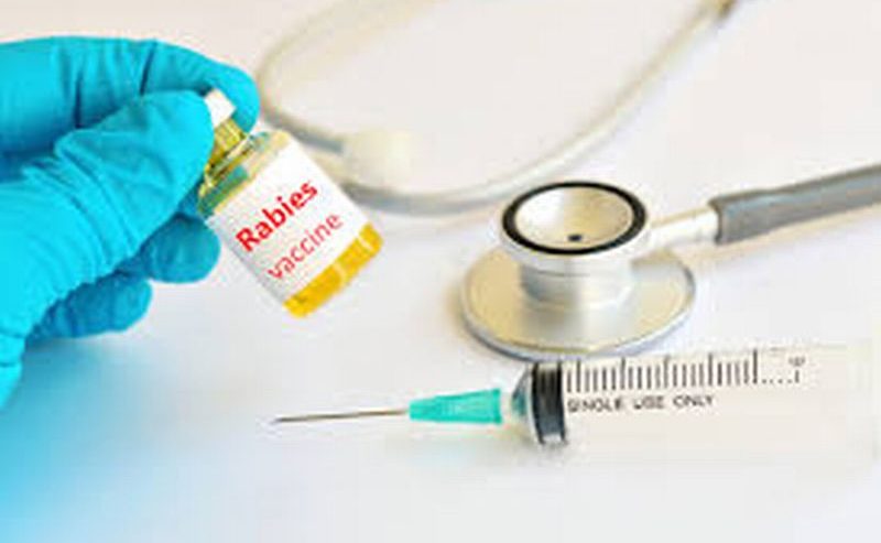 PEMERINTAH KABUPATEN SAMOSIR AKAN MELAKSANAKAN VAKSINASI RABIES MASSAL TAHUN 2020